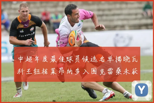 中超年度最佳球员候选名单揭晓瓦科王钰栋莱昂纳多入围克雷桑未获提名