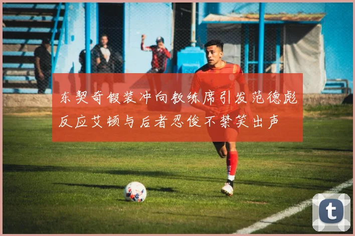 东契奇假装冲向教练席引发范德彪反应艾顿与后者忍俊不禁笑出声