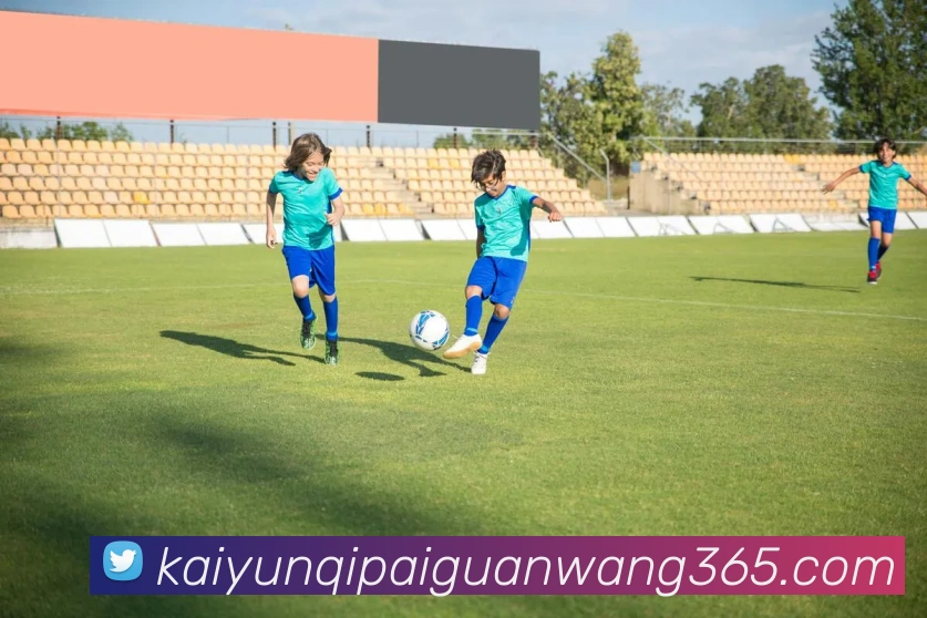 开云棋牌APP 封面图